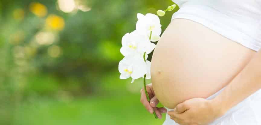 barriga de grávida e flor