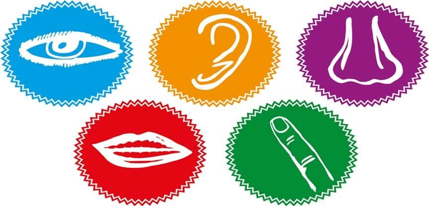 imagem dos sinto sentidos